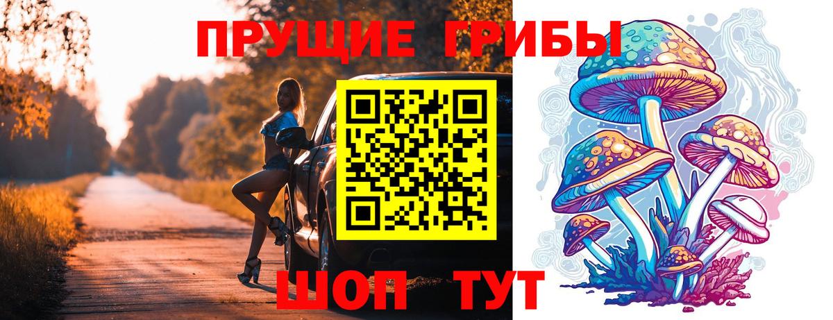 Новочебоксарск  Псилоцибиновые грибы Cubensis  Вход с VPN  Галлюциногенные грибы ЛСД 