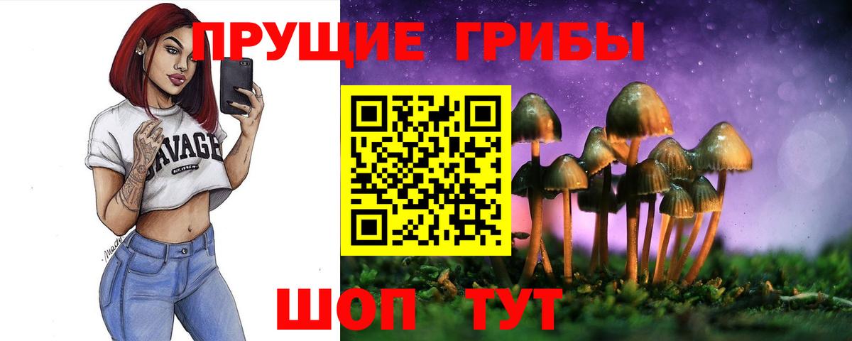Галлюциногенные грибы GOLDEN TEACHER Новочебоксарск